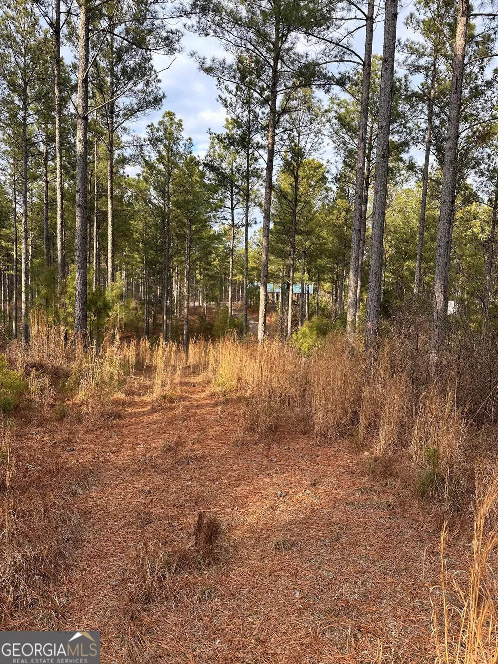 0 S Highway 225 Chatsworth, GA 30705