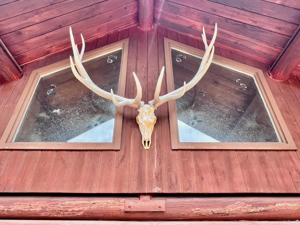10261 Wien Road Cook, MN 55723