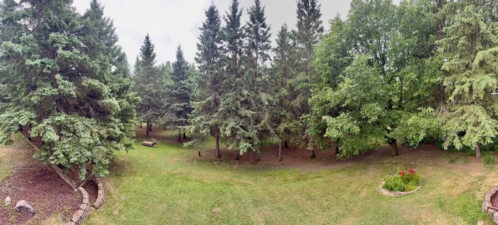 10261 Wien Road Cook, MN 55723