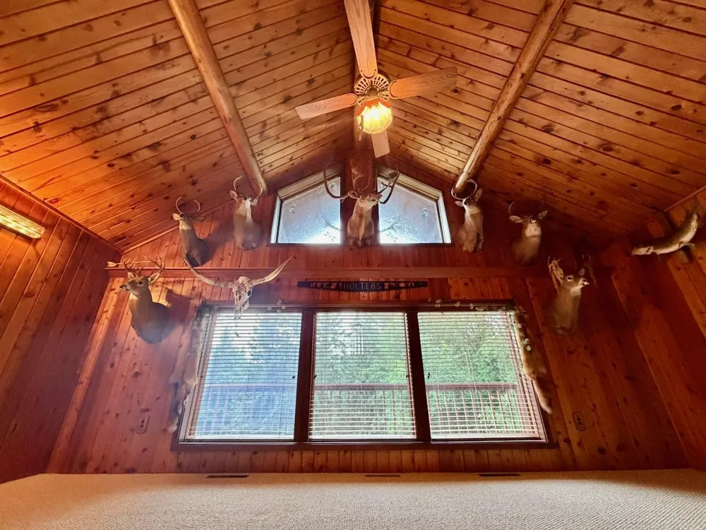 10261 Wien Road Cook, MN 55723