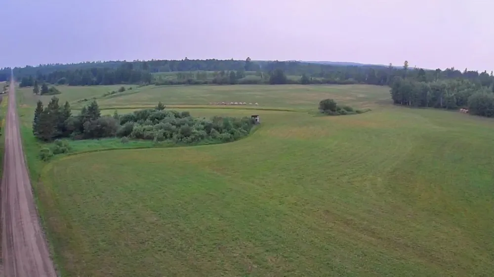10261 Wien Road Cook, MN 55723