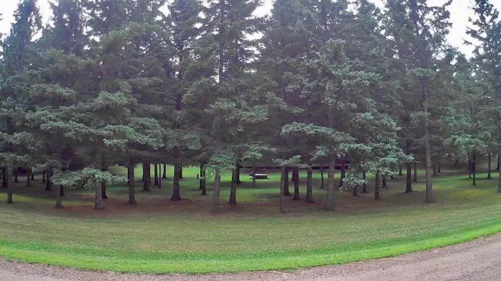 10261 Wien Road Cook, MN 55723