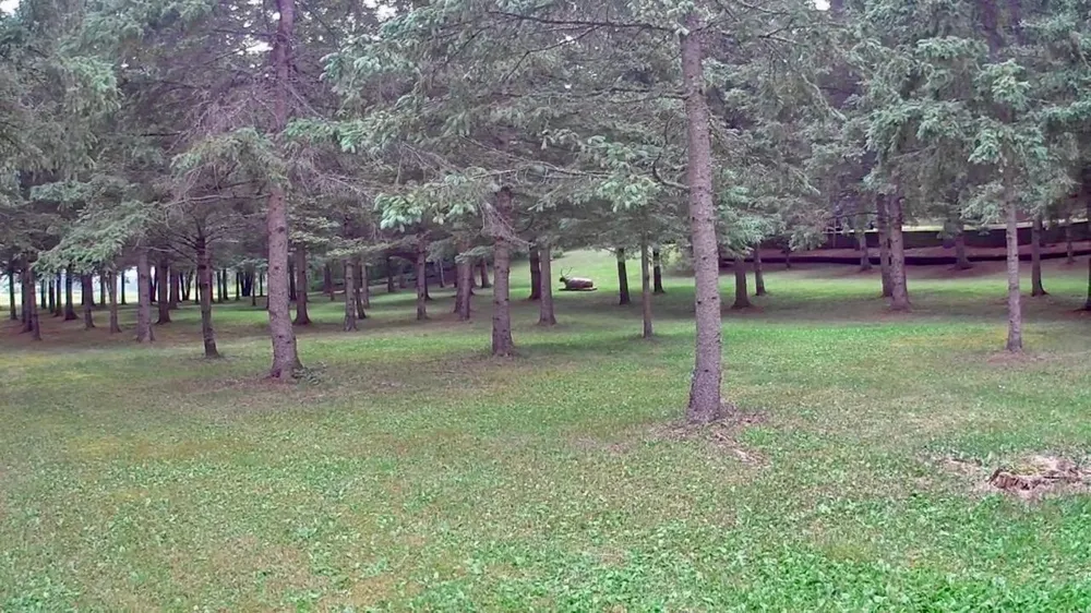 10261 Wien Road Cook, MN 55723
