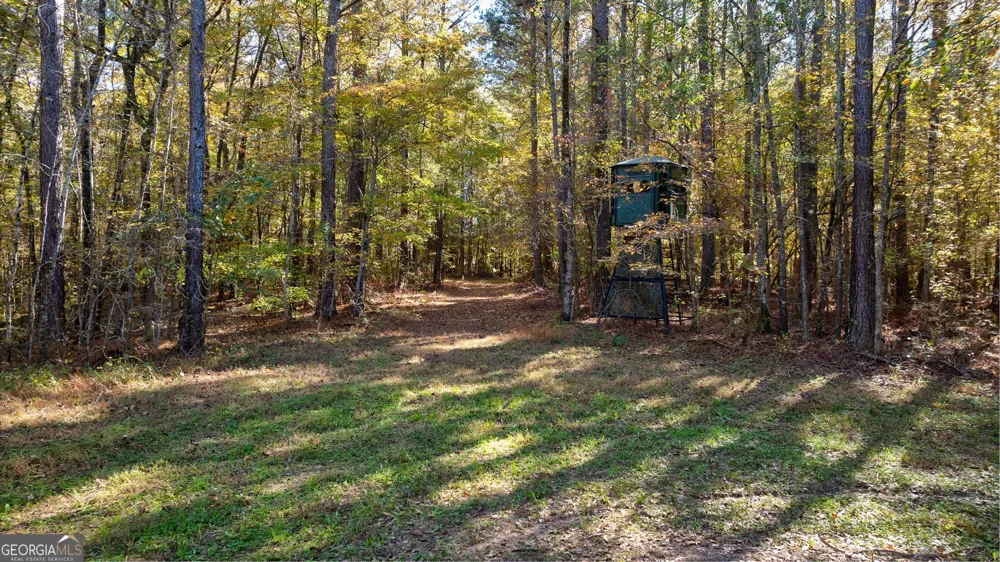 889 Wesley Chapel RD Lexington, GA 30648
