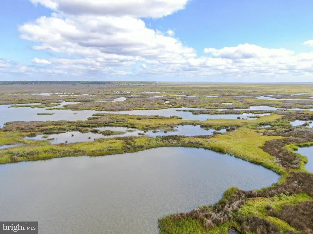 2735 LLOYD WEBB ROAD Crisfield, MD 21817