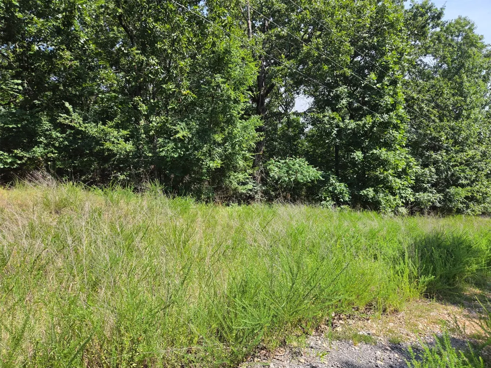 W Horseshoe Drive Cookson, OK 74451