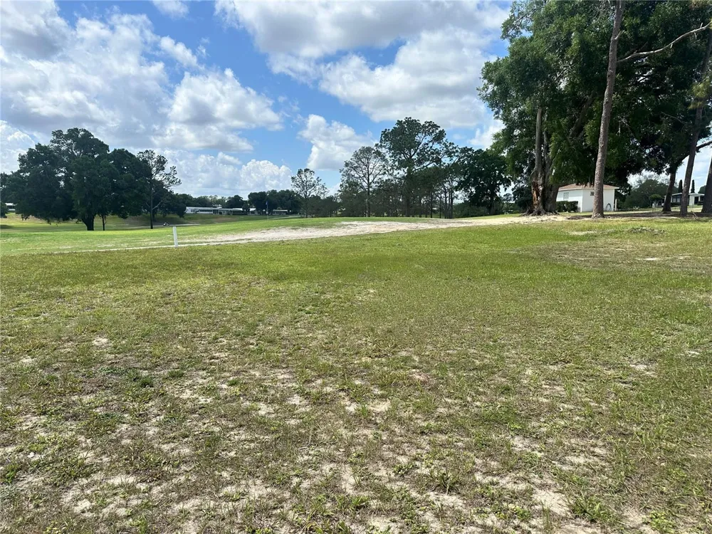 2534 PUTTER ROAD #1600 Zellwood, FL 32798