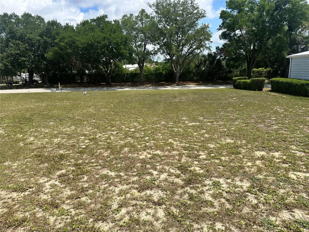 2534 PUTTER ROAD #1600 Zellwood, FL 32798