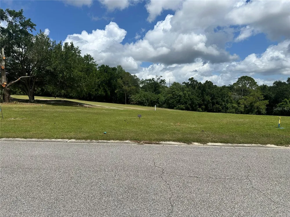 3951 GREENBLUFF ROAD #816 Zellwood, FL 32798