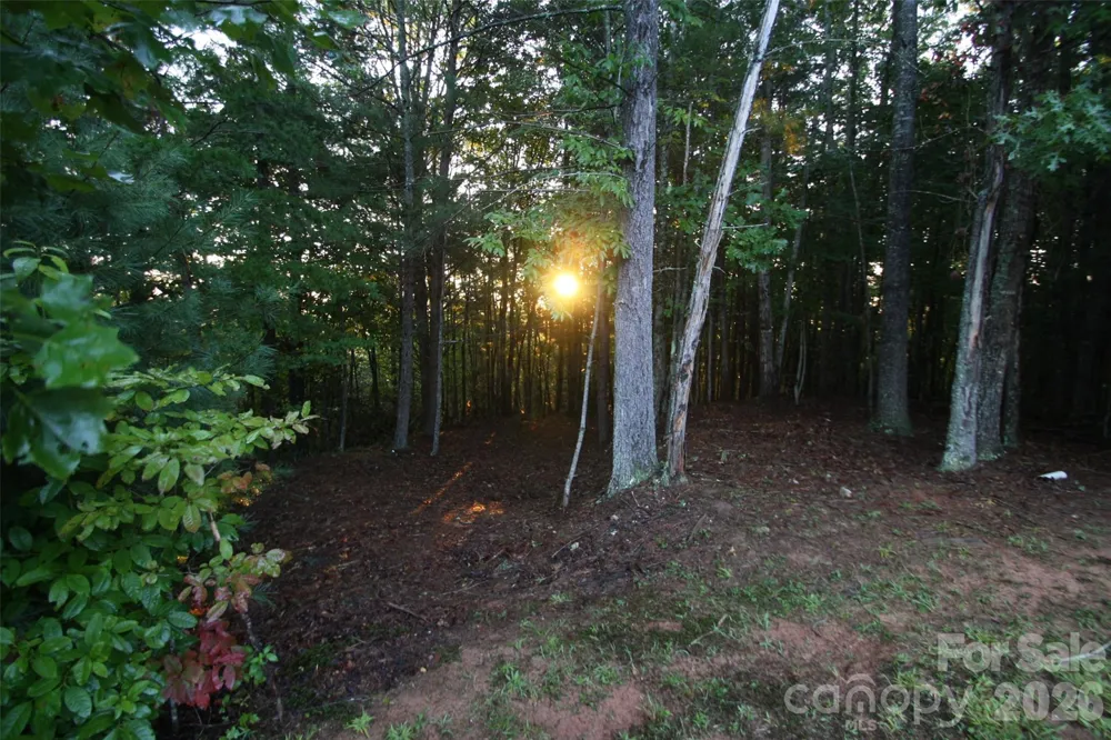 TBD Poplar Bluff Drive #36 Lenoir, NC 28645