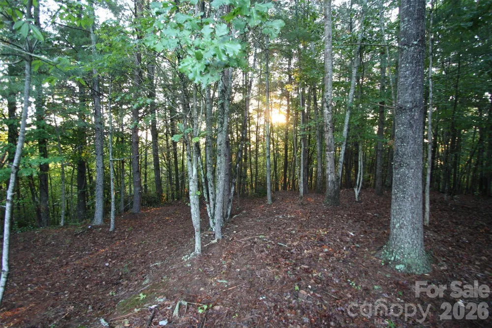 TBD Poplar Bluff Drive #36 Lenoir, NC 28645