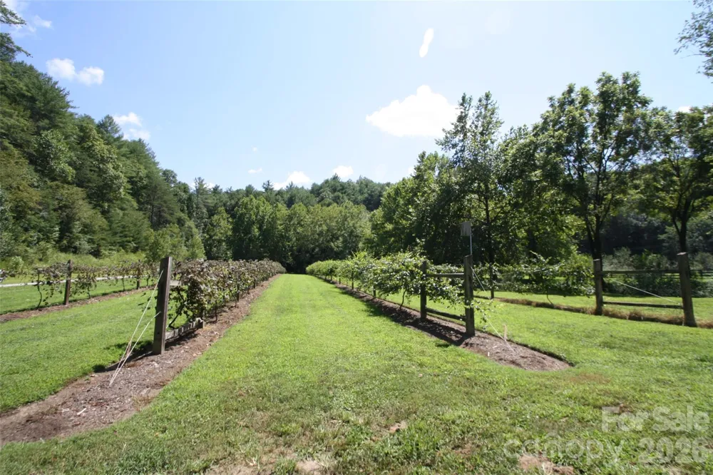 TBD Poplar Bluff Drive #36 Lenoir, NC 28645