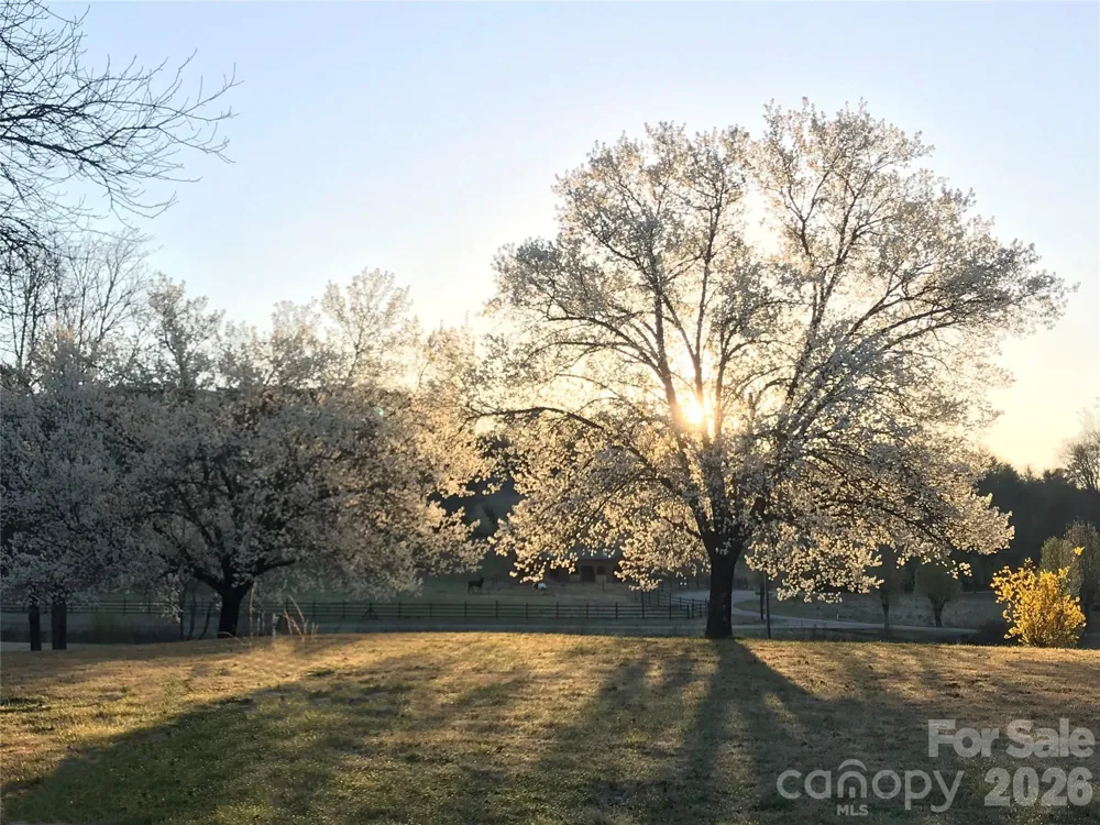 TBD Poplar Bluff Drive #36 Lenoir, NC 28645