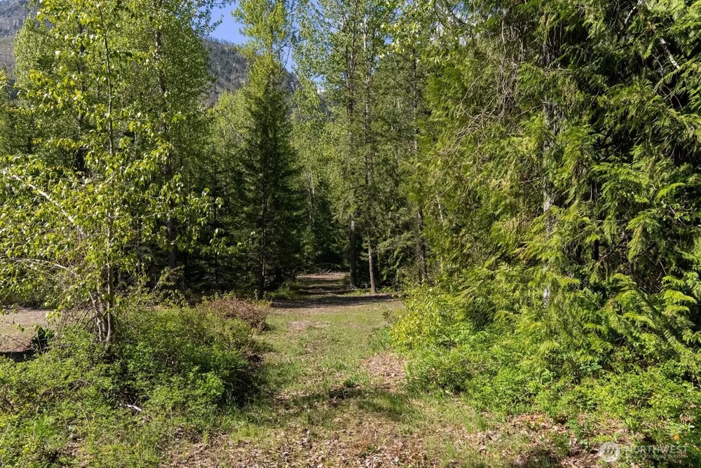 98 Cassel Way Mazama, WA 98833