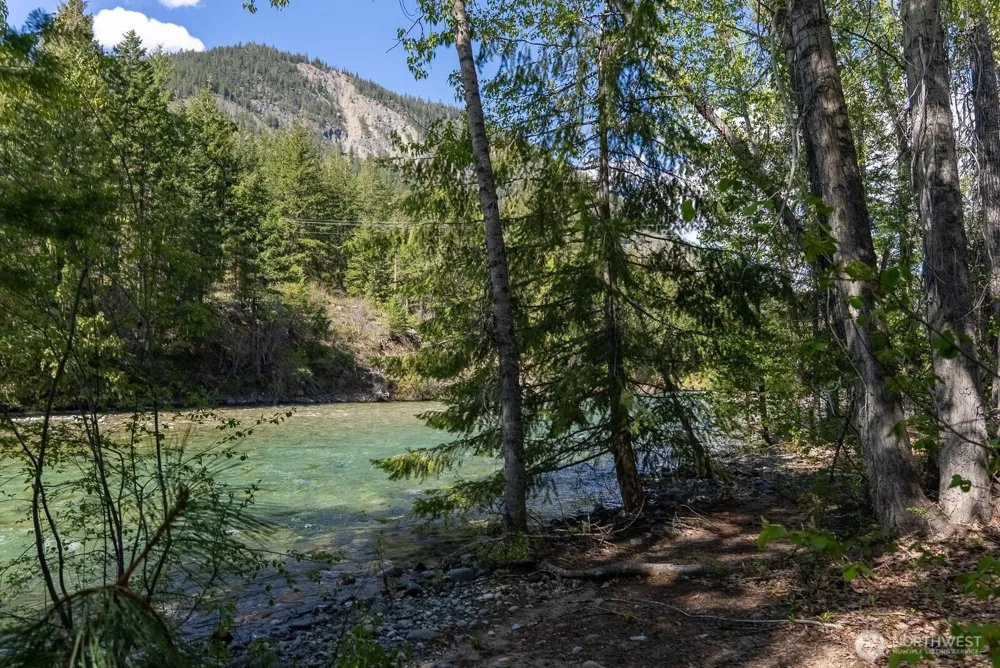 98 Cassel Way Mazama, WA 98833