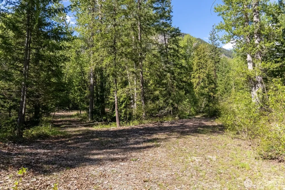 98 Cassel Way Mazama, WA 98833