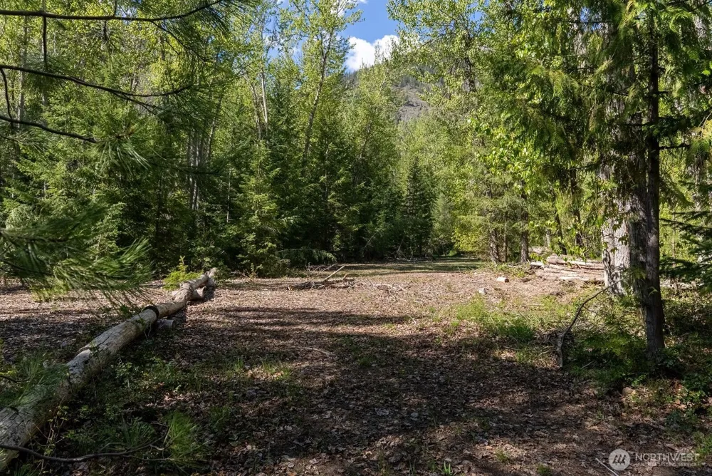 98 Cassel Way Mazama, WA 98833