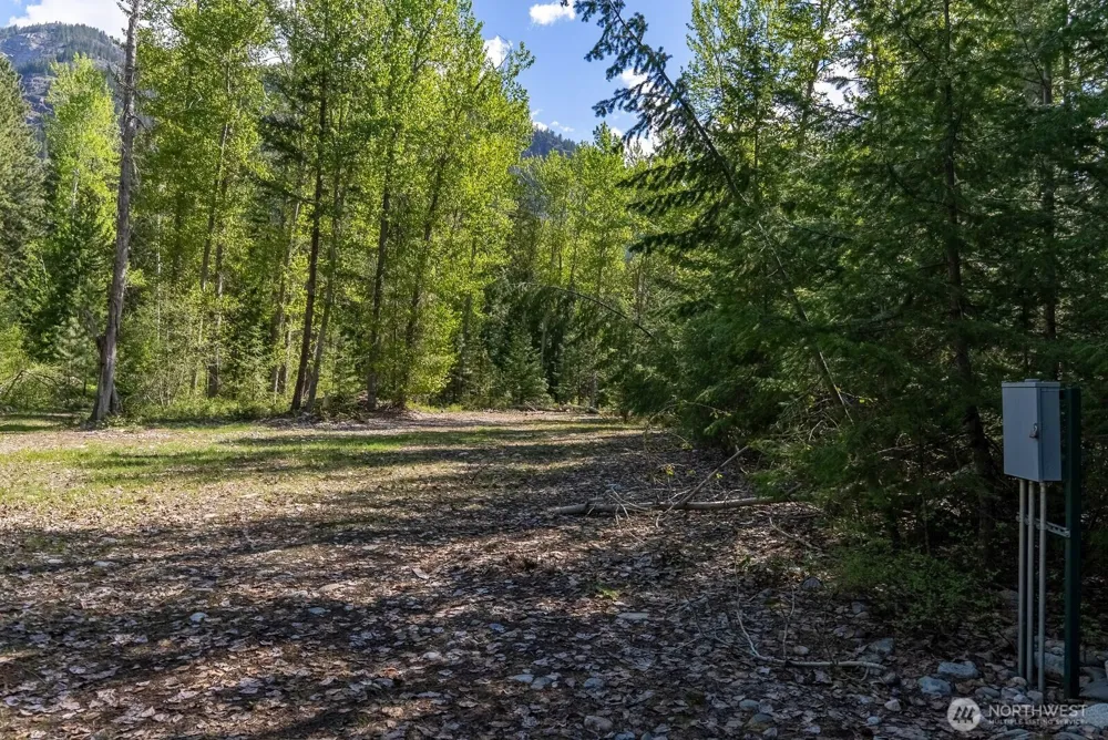 98 Cassel Way Mazama, WA 98833