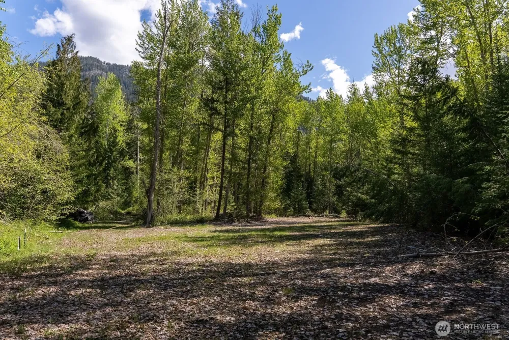 98 Cassel Way Mazama, WA 98833