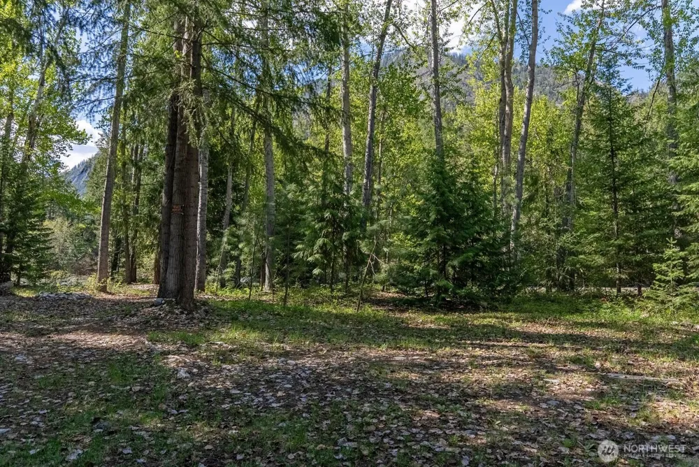98 Cassel Way Mazama, WA 98833