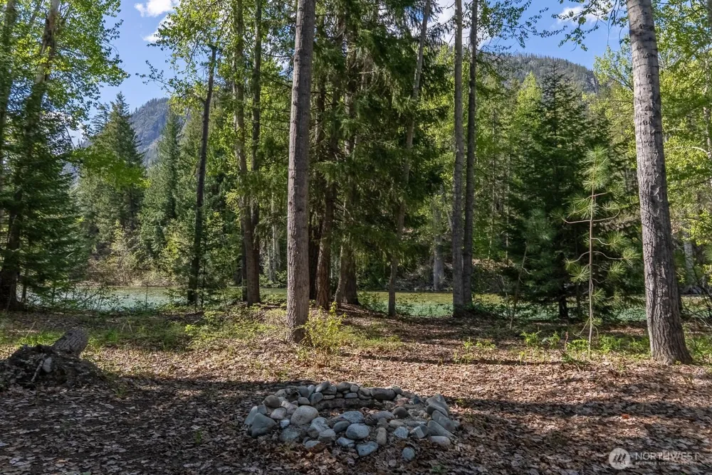 98 Cassel Way Mazama, WA 98833