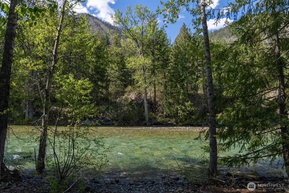 98 Cassel Way Mazama, WA 98833