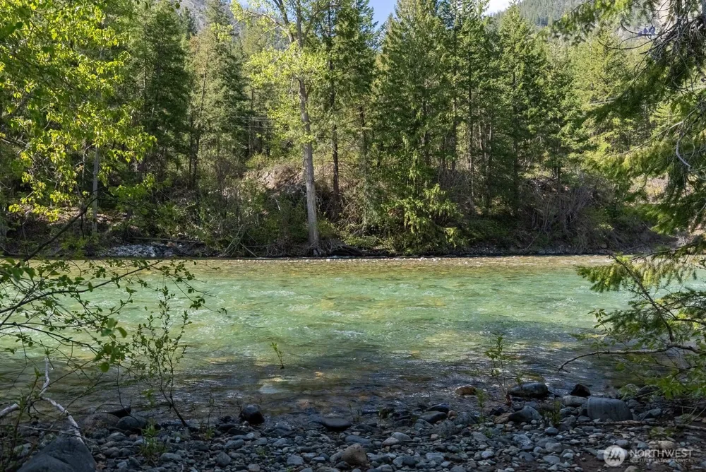 98 Cassel Way Mazama, WA 98833