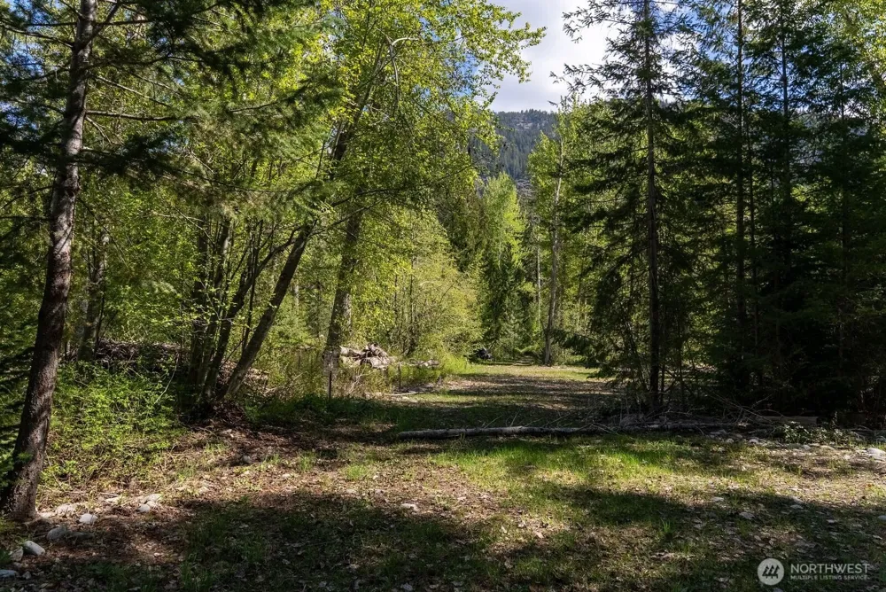 98 Cassel Way Mazama, WA 98833