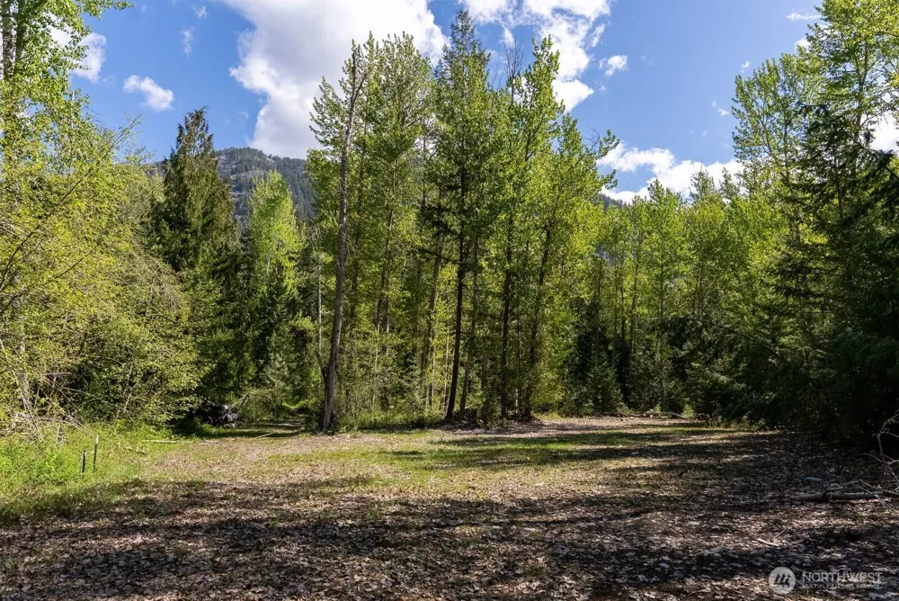 98 Cassel Way Mazama, WA 98833