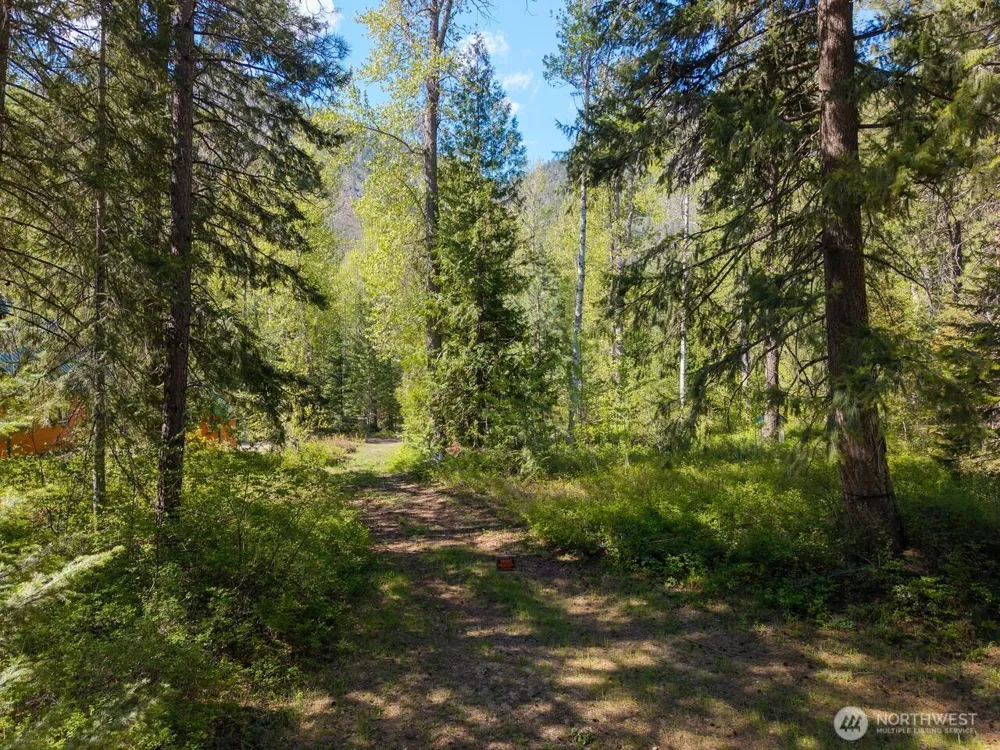 98 Cassel Way Mazama, WA 98833