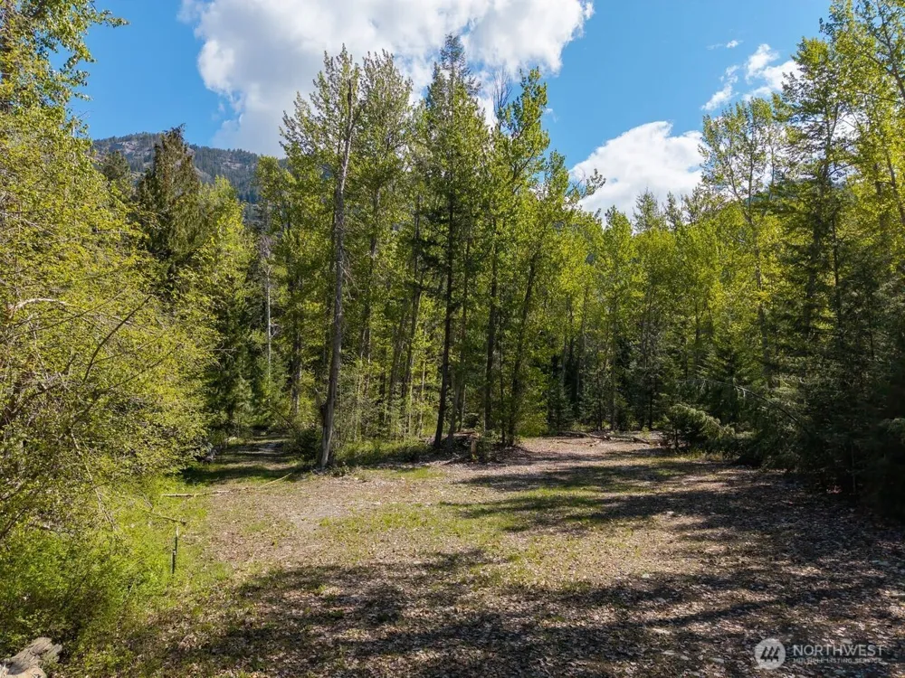 98 Cassel Way Mazama, WA 98833