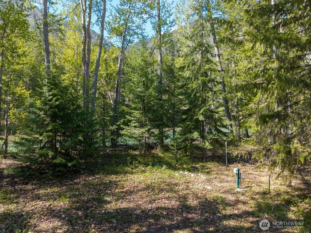 98 Cassel Way Mazama, WA 98833