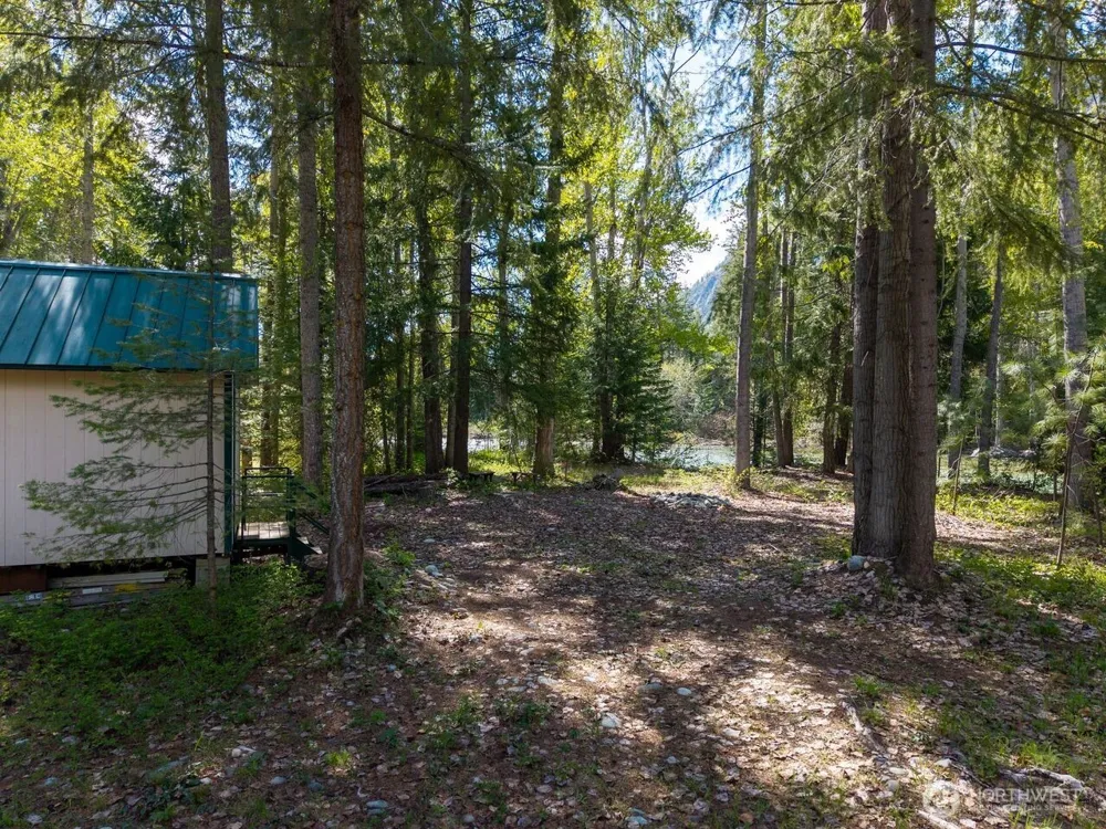98 Cassel Way Mazama, WA 98833