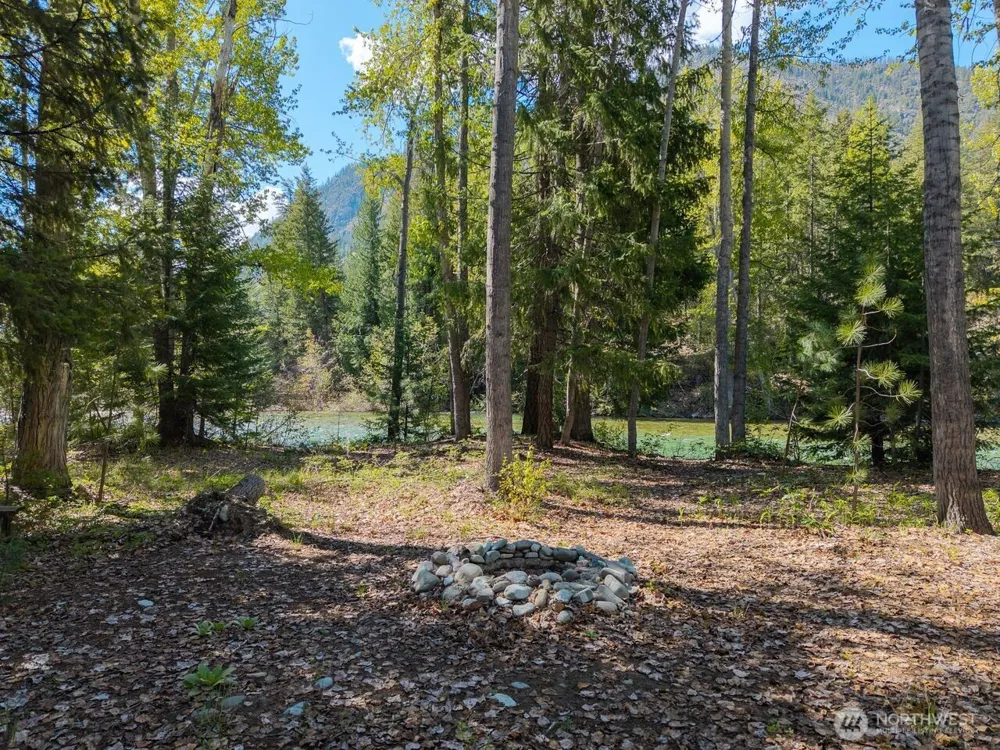98 Cassel Way Mazama, WA 98833
