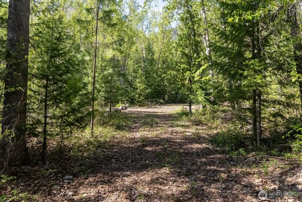 98 Cassel Way Mazama, WA 98833