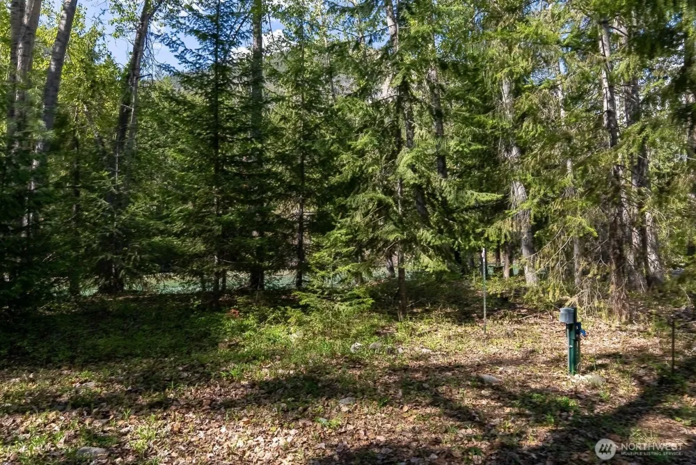98 Cassel Way Mazama, WA 98833