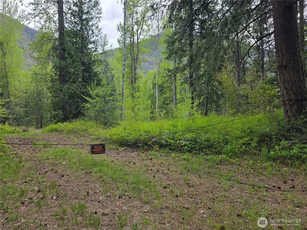 98 Cassel Way Mazama, WA 98833