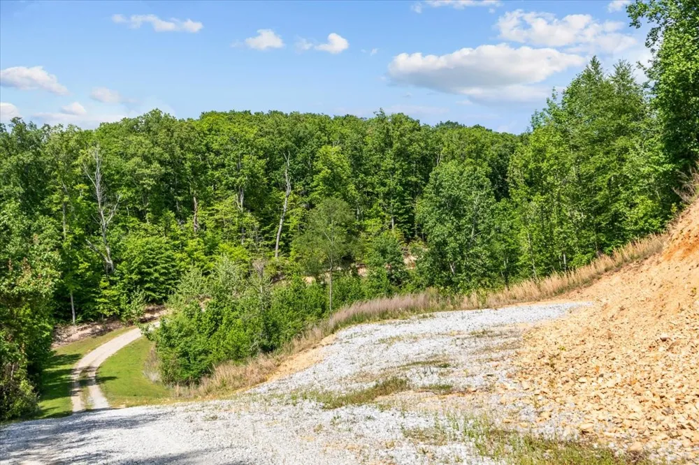 0 Blacks Bluff Stewart, TN 37175