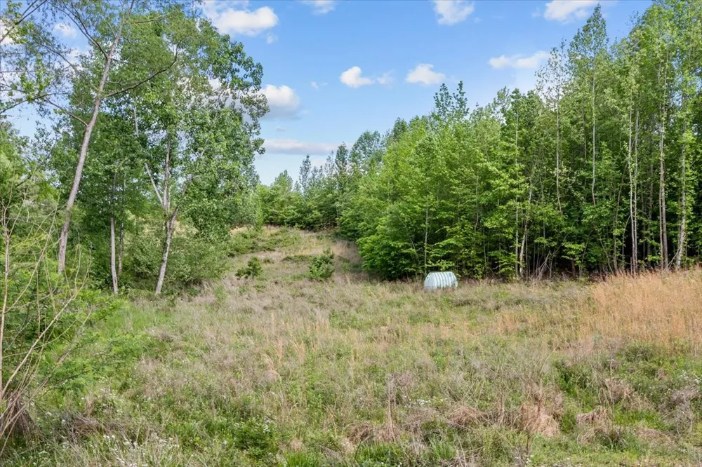 0 Blacks Bluff Stewart, TN 37175
