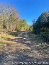 Goff Circle Dyer, AR 72921
