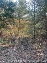 Goff Circle Dyer, AR 72921