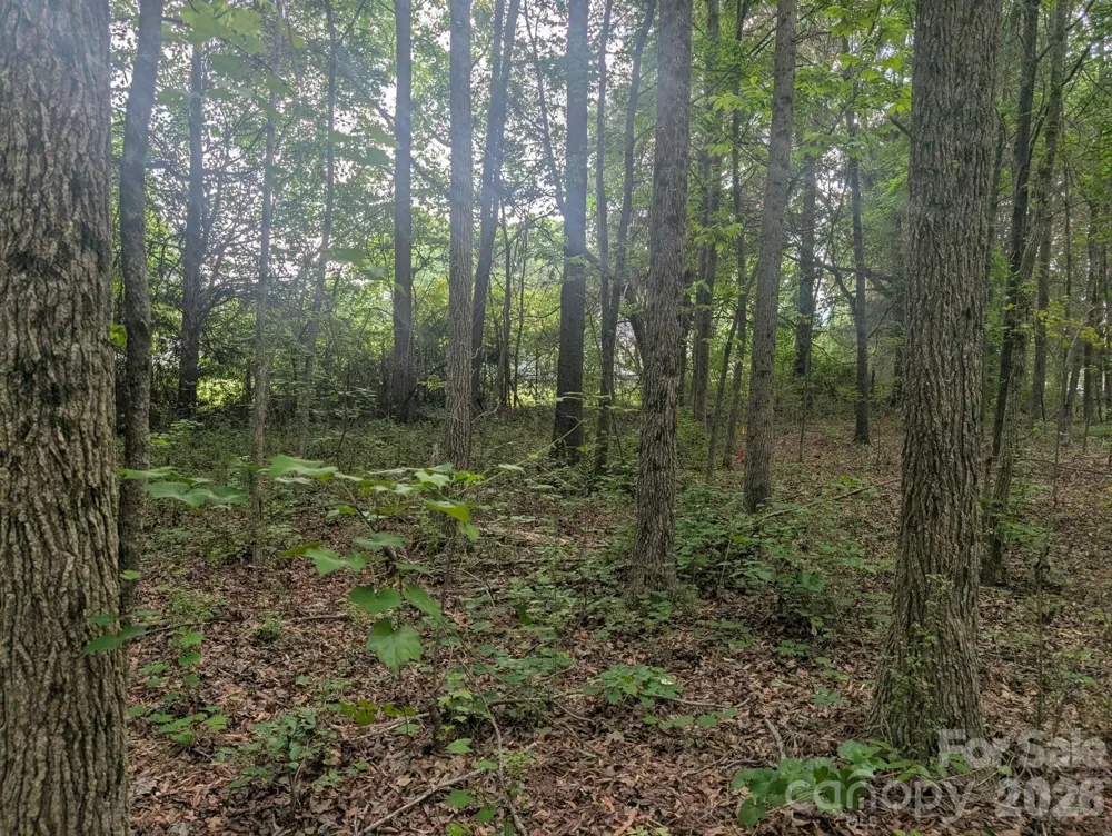 1.29 Acres 320 W Red Cross Road Oakboro, NC 28129