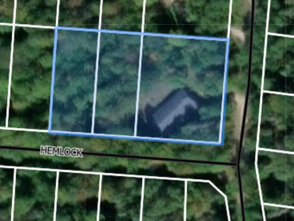 27646 White Cedar Drive St James Township, MI 49782