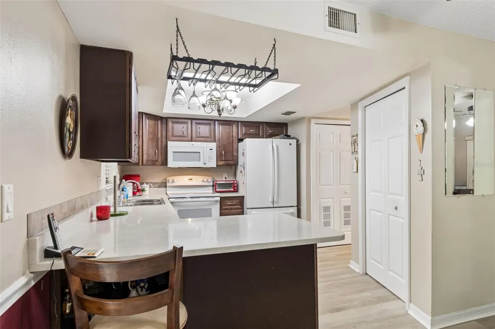 1319 ABBEY CRESCENT LANE Clearwater, FL 33759