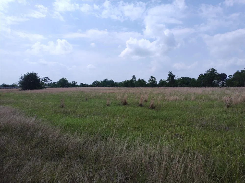 19709 Becker Road Hockley, TX 77447