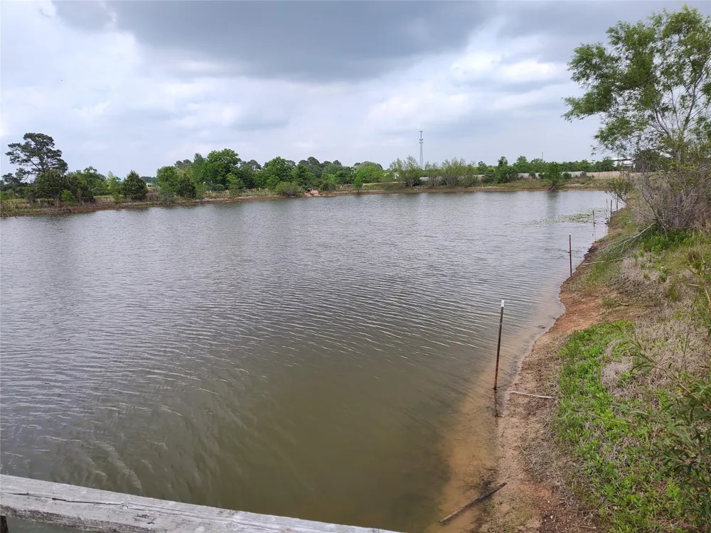 19709 Becker Road Hockley, TX 77447