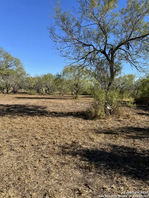 00 Mesquite and Mulberry Jourdanton, TX 78026