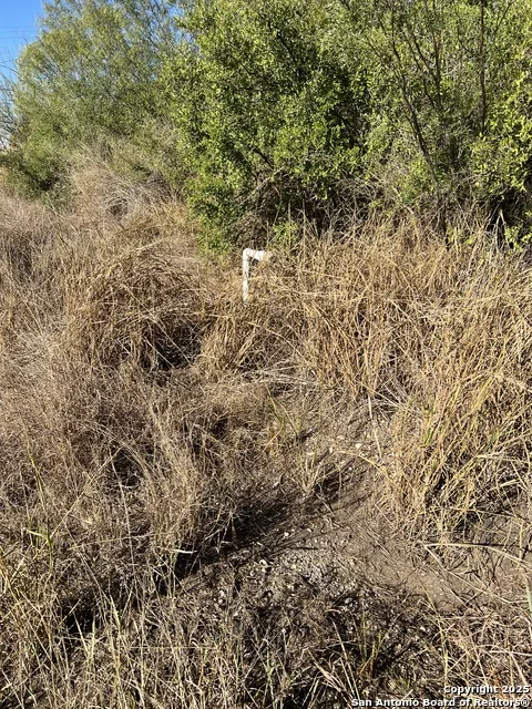 00 Mesquite and Mulberry Jourdanton, TX 78026