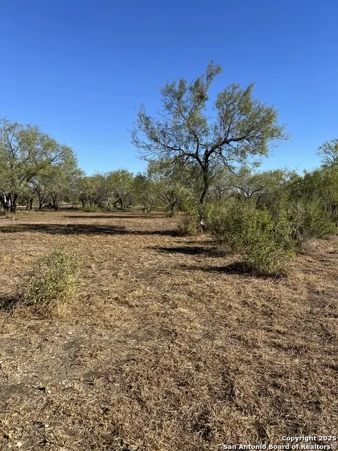 00 Mesquite and Mulberry Jourdanton, TX 78026