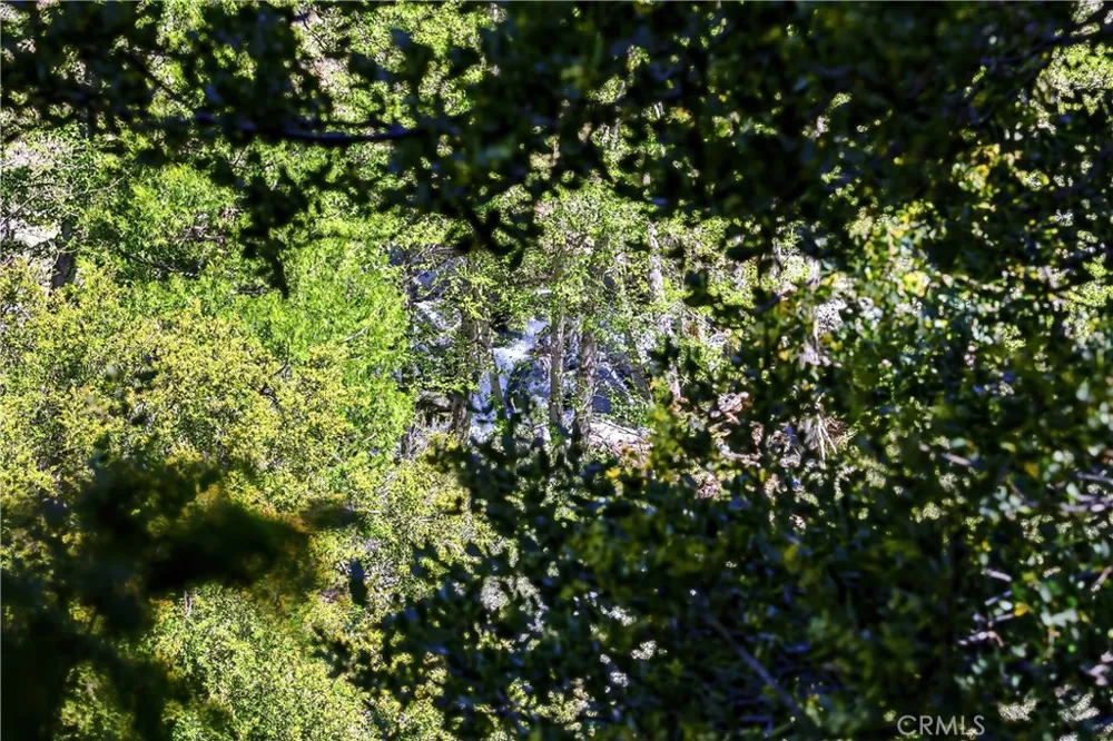 105 Upper San Antonio Falls Mt Baldy, CA 91759